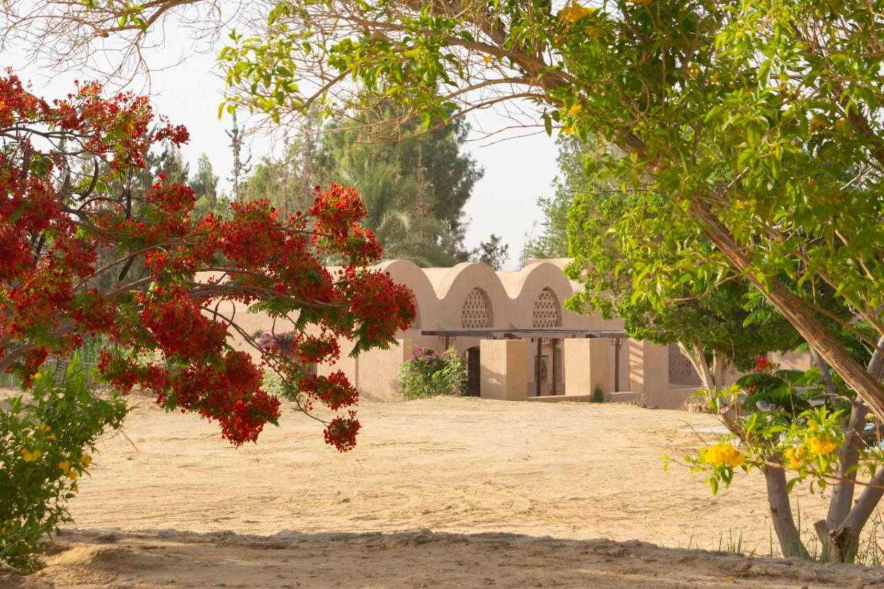 Tzila Bahariya Villa Bahariya Oasis Exteriör bild